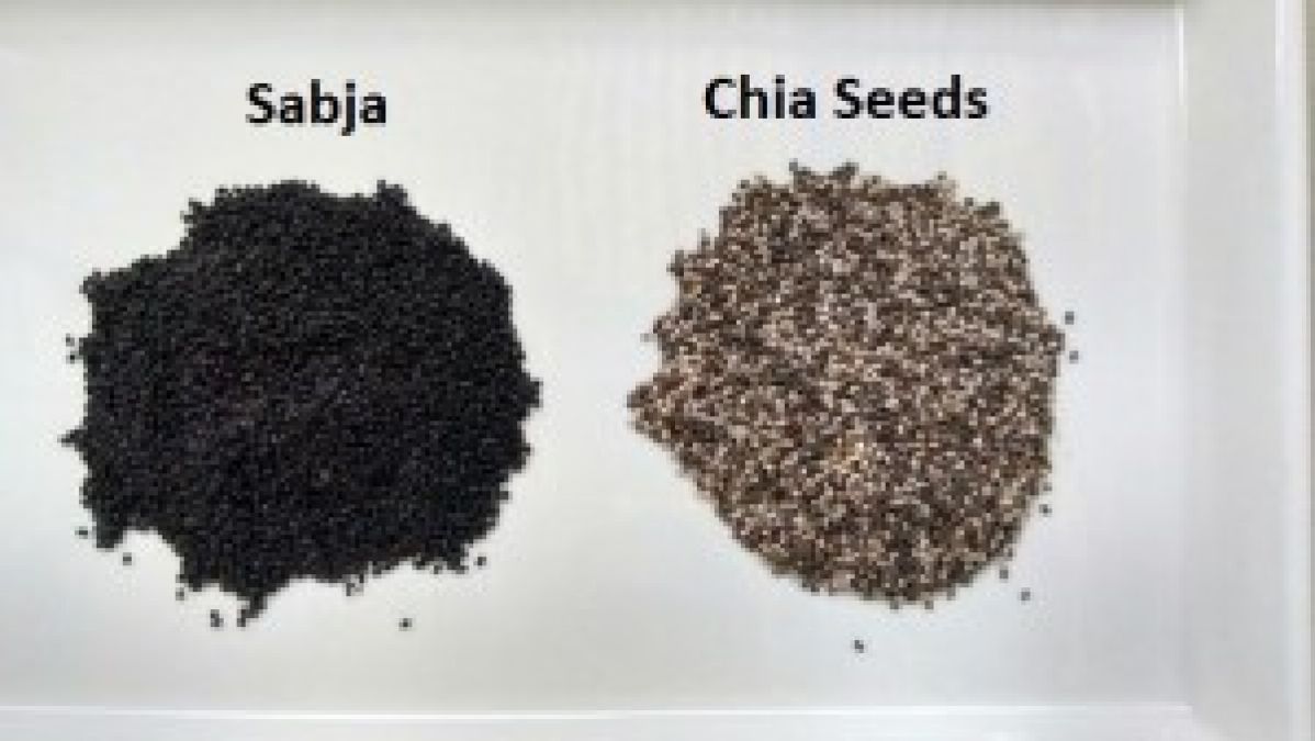 This is how the difference between Sabza seed and Chia seed makes you lose weight