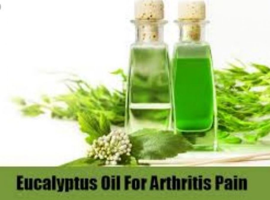 Eucalyptus oil is beneficial for joint pain, know other amazing benefits