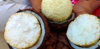 कैंसर नहीं होने देगा नारियल का फूल, जानें इसके चौकाने वाले फायदे