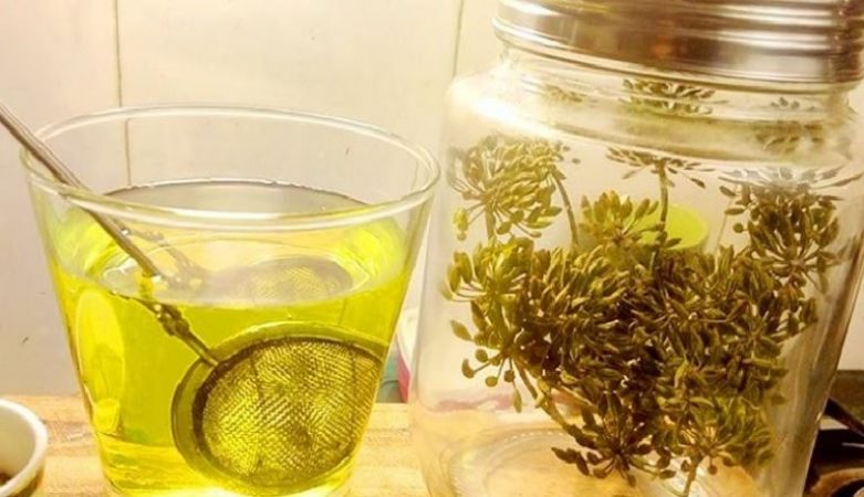 Fennel water can save you from heat, know its uncountable benefits