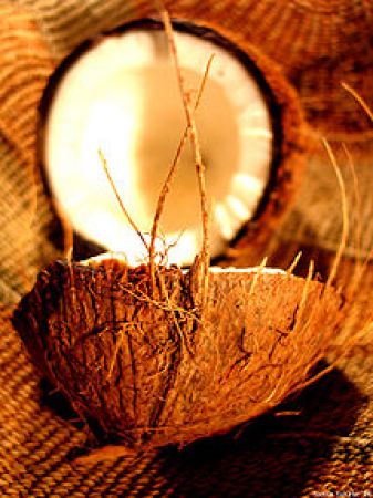 नारियल के रोचक जुड़े कुछ तथ्य