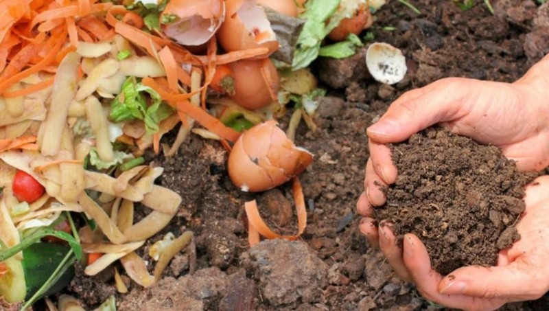 Make Compost from Fruit and Vegetable Peels at Home