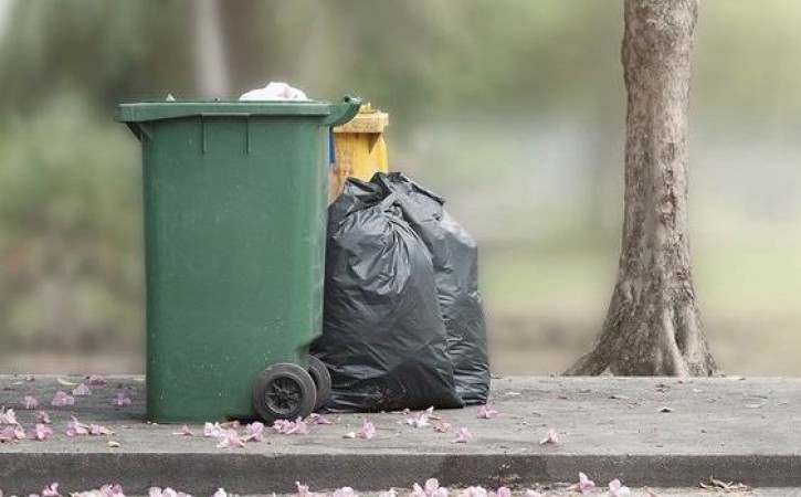 How to Prevent Your Dustbin from Smelling Rotten: Adopt These Tricks Before Throwing Out the Garbage