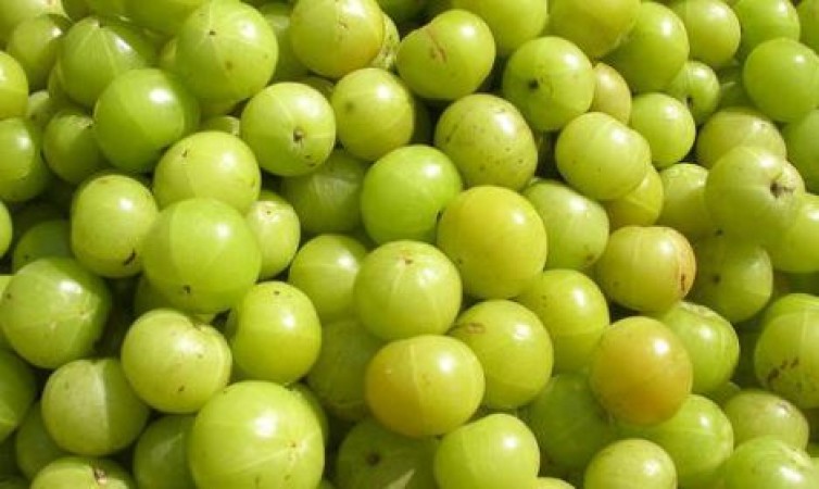 Know the miraculous benefits of Amla