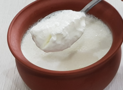 Know how to make curd at home without sourdough