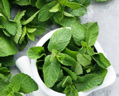 You will get rid of many diseases with the use of mint