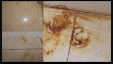 Try this home remedies to remove stubborn stains and get clean home