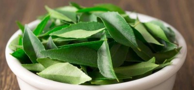 Are you also troubled by increasing weight? then consume curry leaves