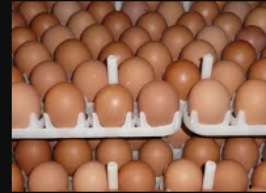 अंडे ख़राब है या नहीं जानने के लिए अपनाये ये टिप्स, जाने कैसे करे स्टोर