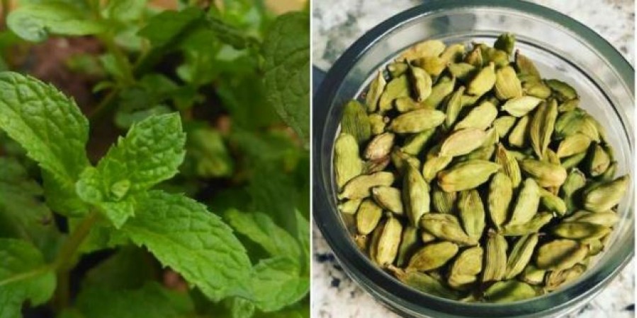 If you are troubled by sour dakar, then do these home remedies immediately.