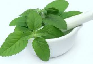 Honey and basil will get rid of mouth ulcer in a pinch