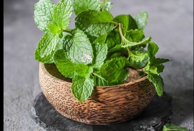 Peppermint will remove the pain of stomach, teeth and head