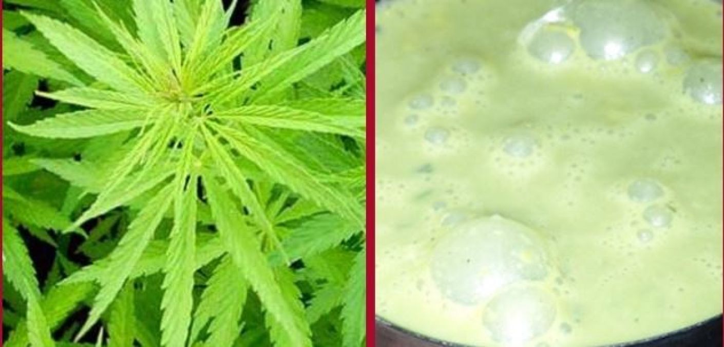 Mahashivratri: To remove hangover of cannabis, then adopt this home remedy