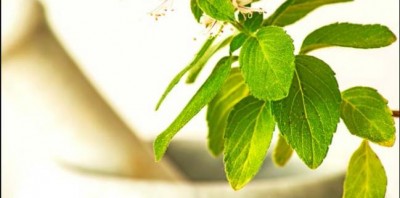 From tulsi to linseed seeds, diabetes can be controlled by these home remedies.