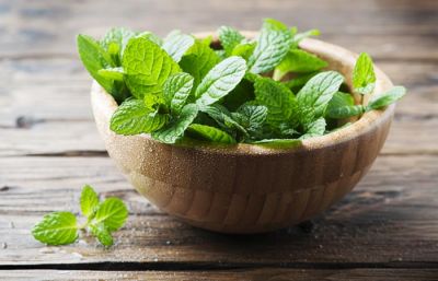 Stomach problem happens in summer, so consume mint in this way