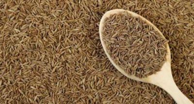 Cumin intake is beneficial in bile disease, Know how to use it