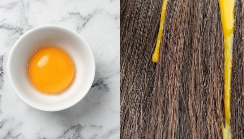 बालों का झड़ना दे रहा है आपको सिरदर्द, तो अपनाएं अंडे के ये चमत्कारी उपाय