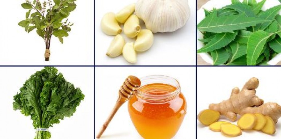 13 home remedies that will save you from swine flu, use basil leaves to ginger