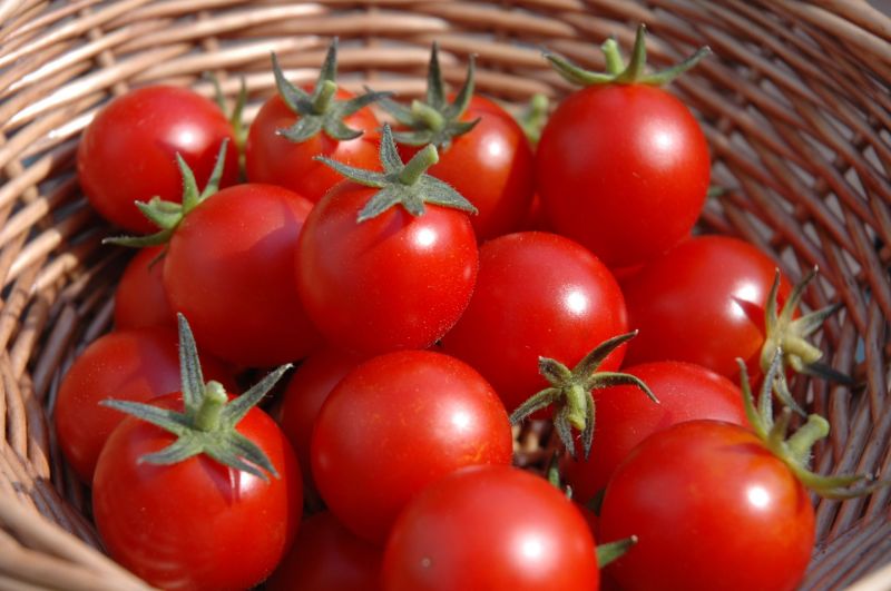 These symptoms are seen when you are allergic to tomatoes, Don't ignore