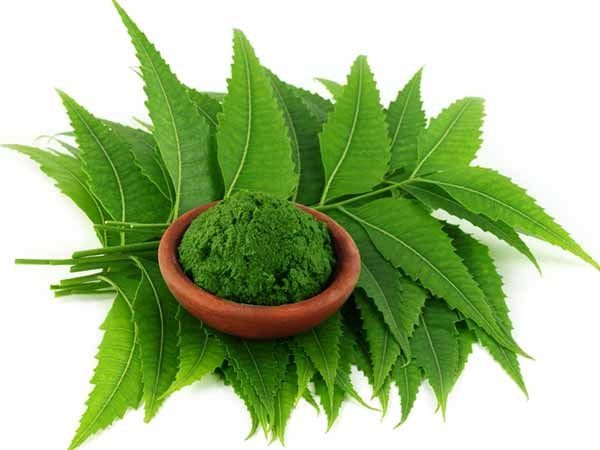 Neem is beneficial for skin to health