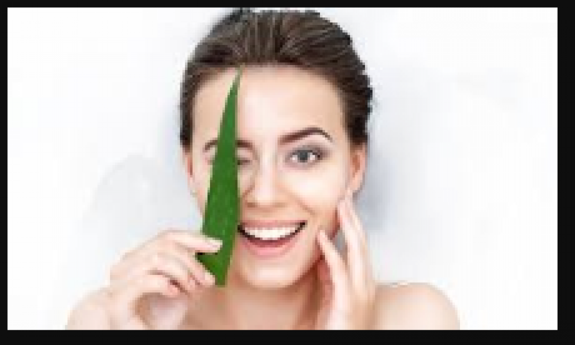 Aloe vera butter is a boon for skin; know how to use