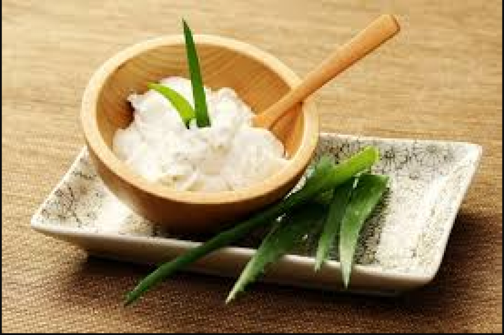 Aloe vera butter is a boon for skin; know how to use