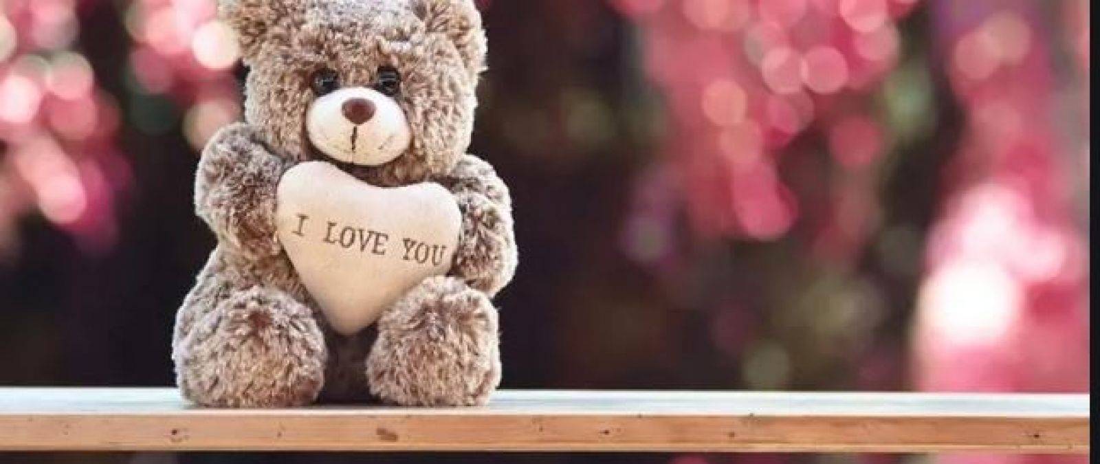 Teddy Day: What is the meaning of different colored teddy, know here