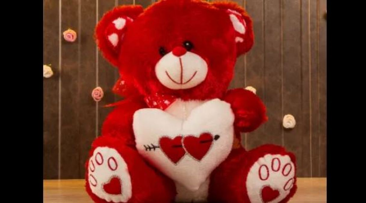 Teddy Day: What is the meaning of different colored teddy, know here