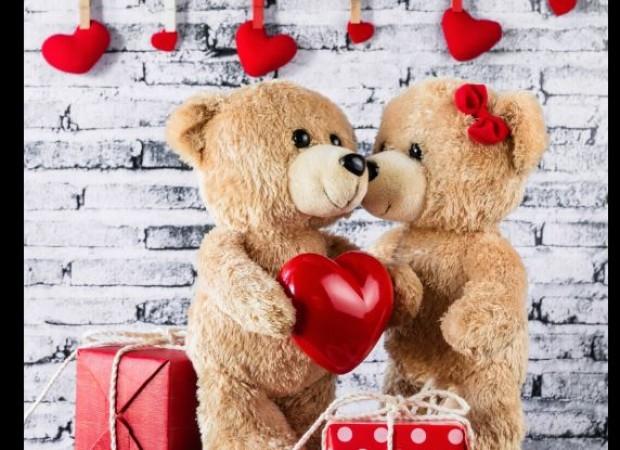 Teddy Day: By giving teddy in these 3 ways you can make your partner's day special