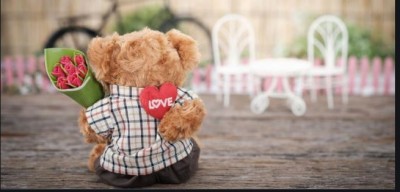 Teddy Day: What is the meaning of different colored teddy, know here