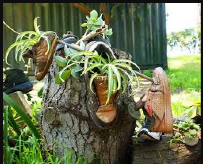 DIY :पुराने जूतों को फेंके नहीं उन्हें ऐसे करे इस्तेमाल, जगह खूबसूरत बन और खिल उठेगी