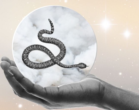 Interpreting Snake Dreams, Decoding Their Symbolic Meanings
