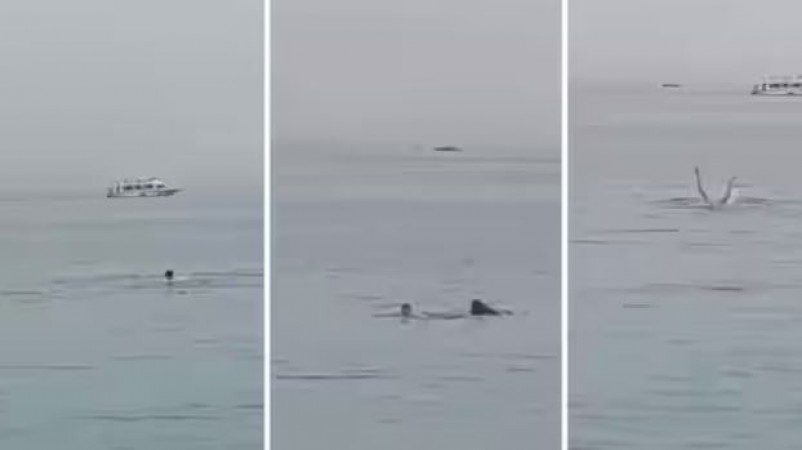 अचानक जिंदा आदमी को निगल गई शार्क, दिल थामकर देंखे VIDEO