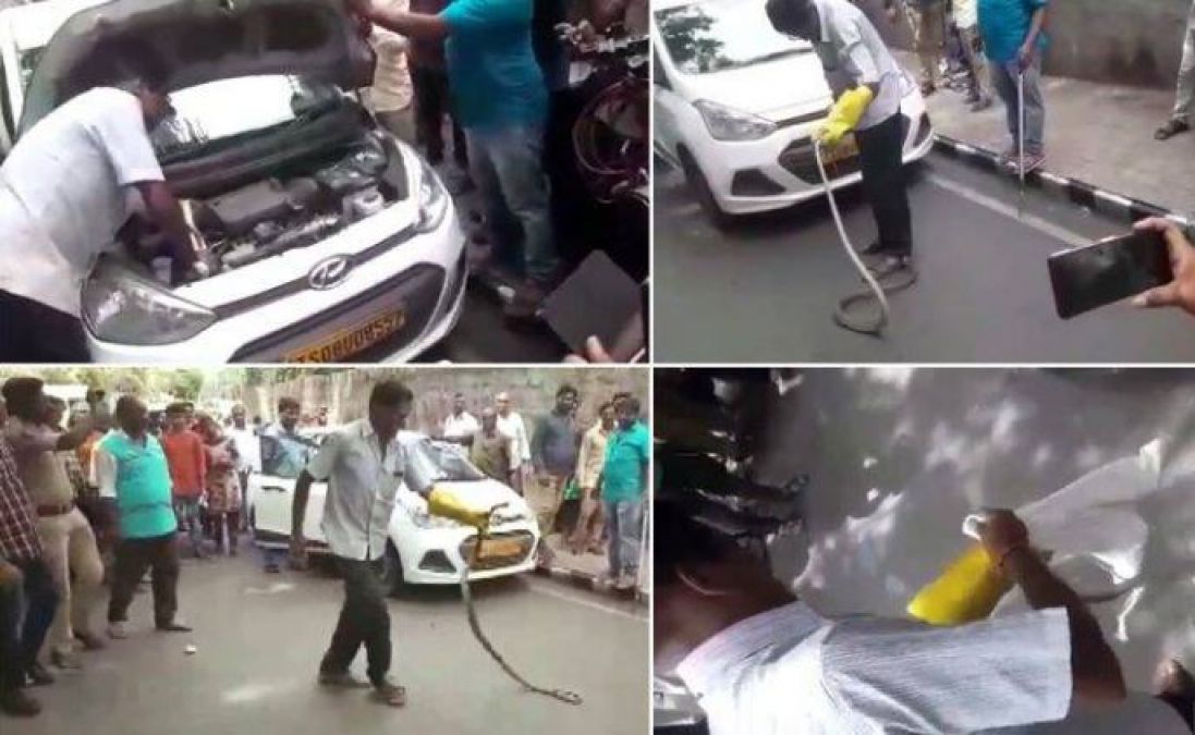 The 8-foot-long snake was sitting while hidden in the car's  engine, People get shocked by seeing this