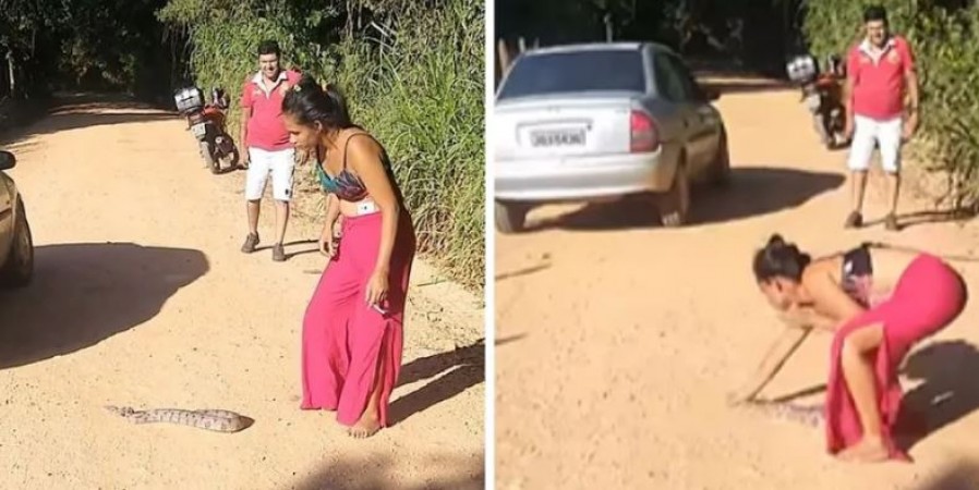 खतरनाक सांप को लड़की ने पकड़ा और रख दिया सड़क किनारे, वीडियो देख उड़े लोगों के होश