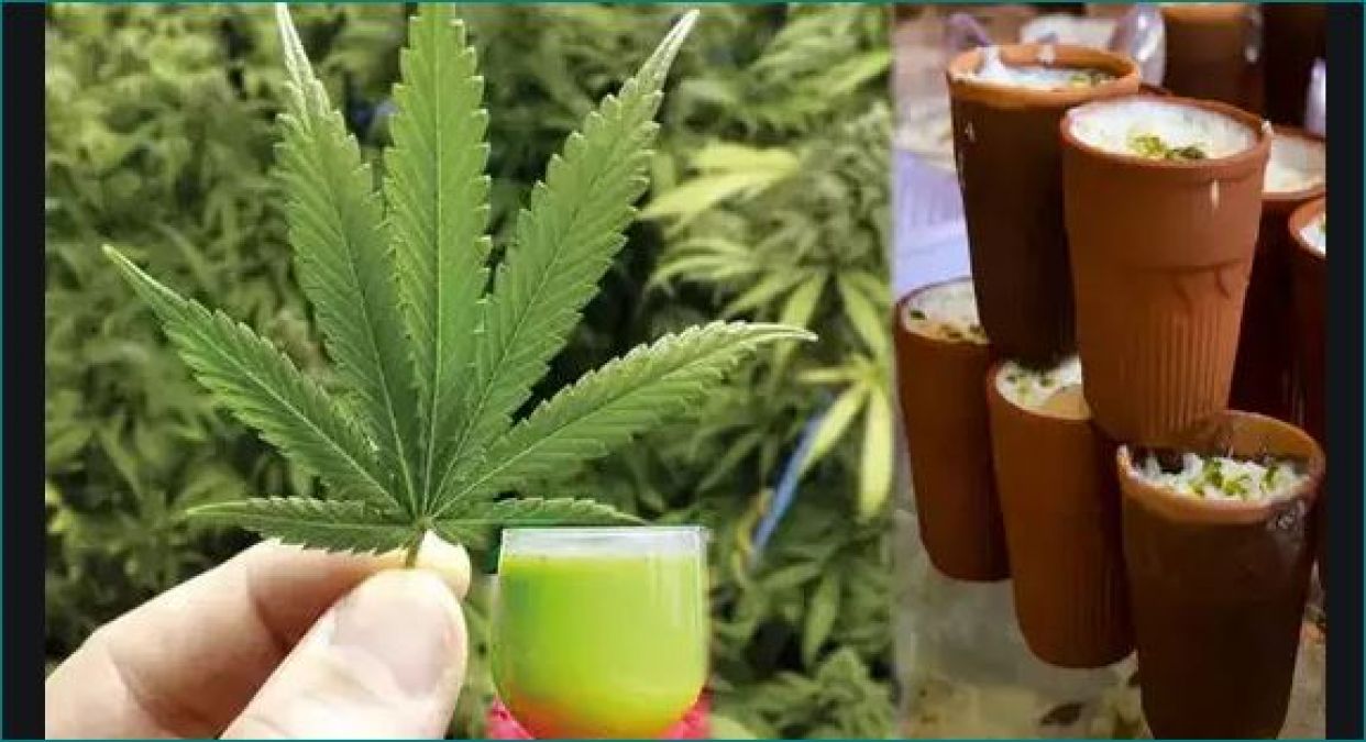 If you are going to drink Bhang today, you must first read remedies to get rid of intoxication