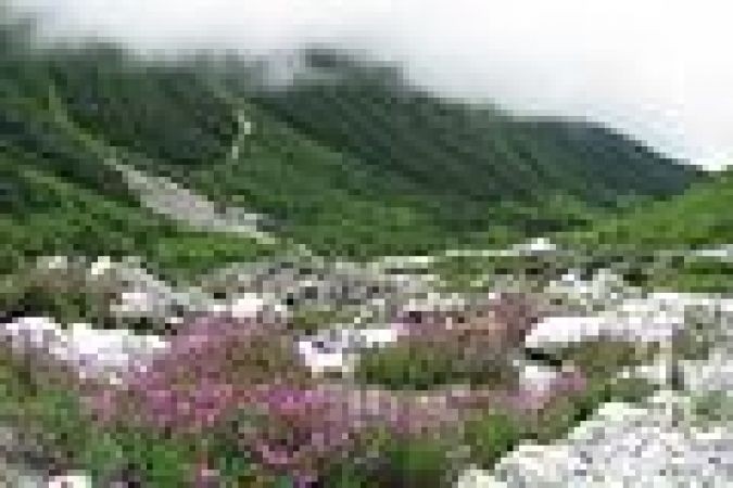 एक सफर हिमालय की गोद में बसे फूलों की घाटी का