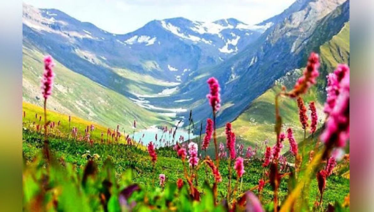 Valley of flowers in Uttarakhand opened for tourists