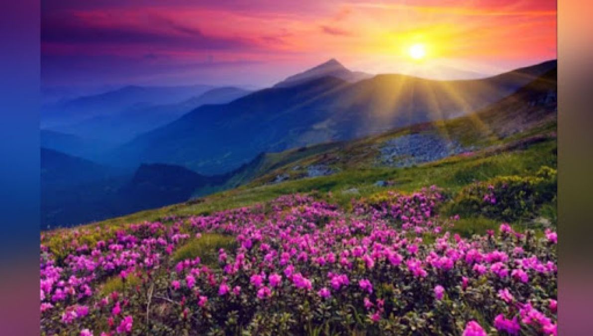 Valley of flowers in Uttarakhand opened for tourists