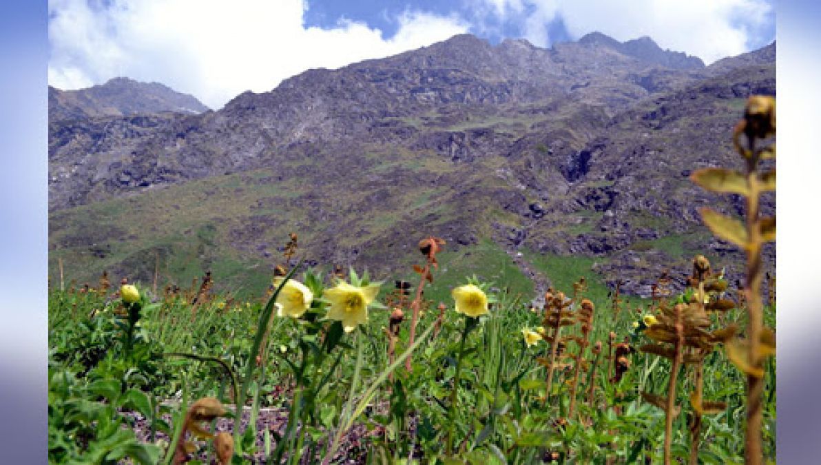 Valley of flowers in Uttarakhand opened for tourists