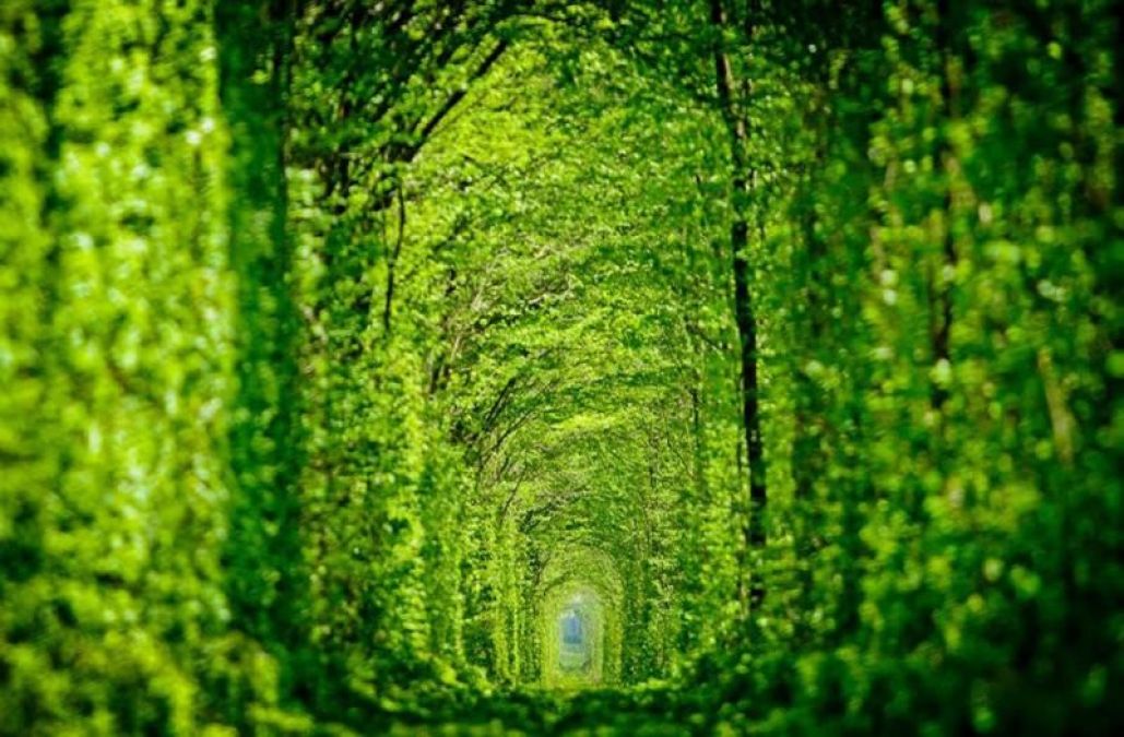 Tunnel of Love: Place for couples to take walks