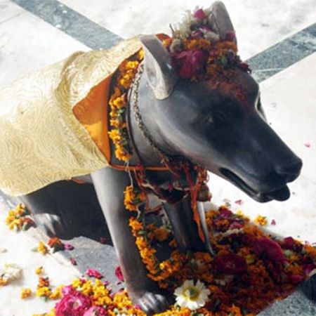जानिए क्यों की जाती है इस मंदिर में कुत्ते की पूजा
