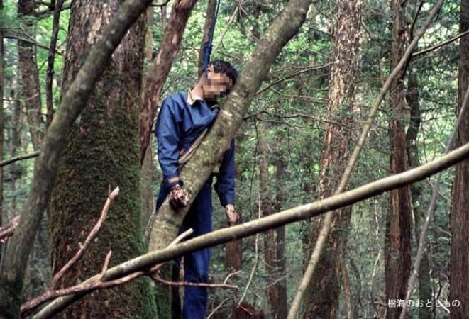 क्या आपने कभी सुना है आत्महत्या जंगल के बारे में