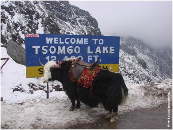 LAKE से हटकर इस बार जाए सिक्किम घूमने