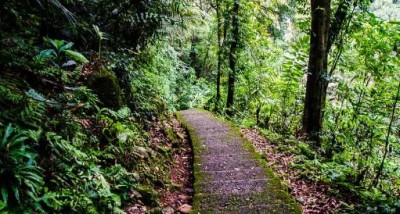 The fun of going to Cherrapunji is double in the rain, know its special things