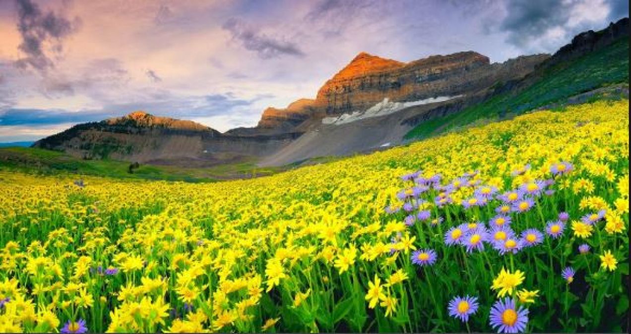 The valley of flowers is open from July to September, must go