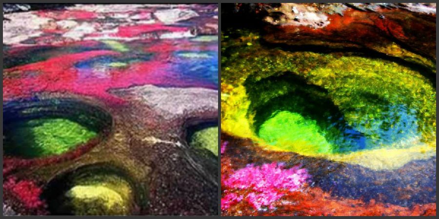 सात रंगों से सजी है दुनिया की सबसे खूबसूरत नदी
