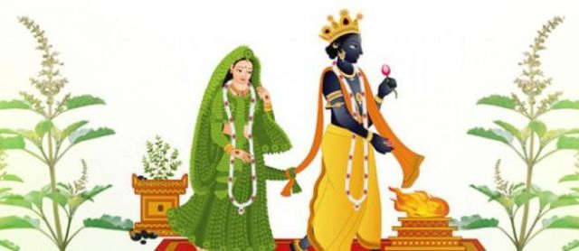 जानिए, तुलसी का विवाह भगवान् विष्णू संग क्यों करवाया जाता है