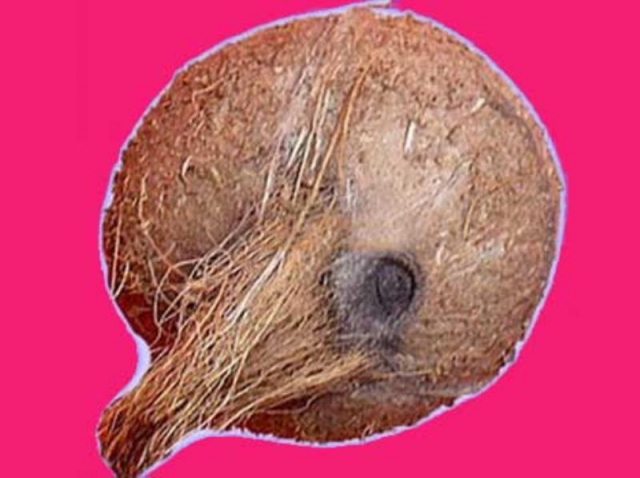 यह नारियल है लक्ष्मी का रूप, घर रखने पर मिलते है कई लाभ