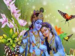Radha Ashtami is on 25 August, know the story of birth